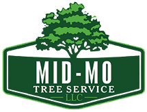 Springfield MO Tree Service